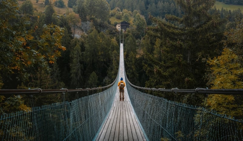 Image for Man crossing bridge over forest stock photo as concept for bridging purpose and performance for impact through the theory of change