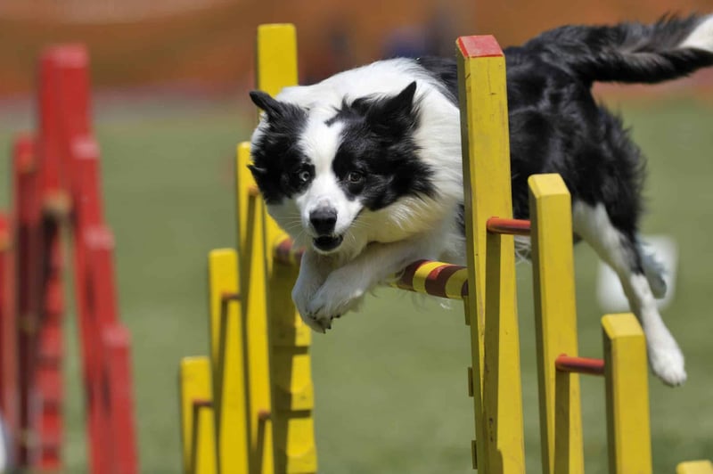 Image for Agile 101 | Clarasys