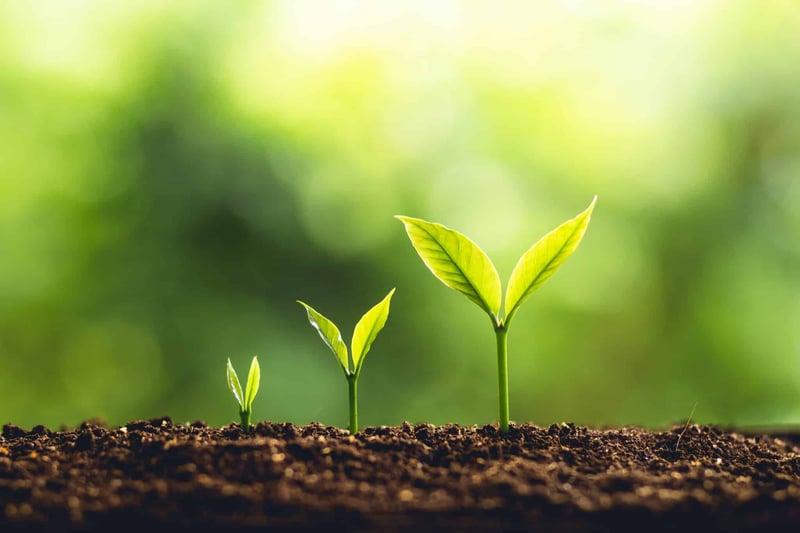 Image for From start up to established | Clarasys