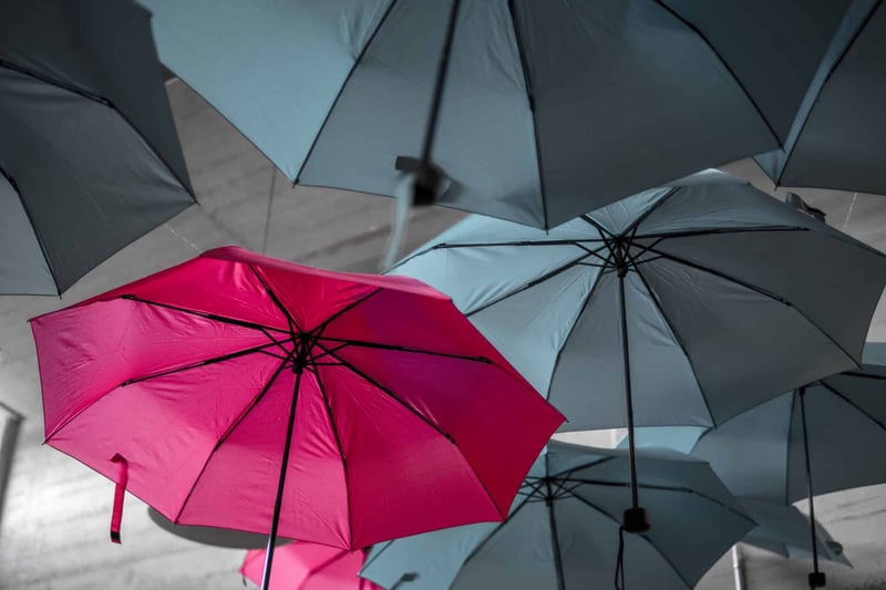 Image for Helping a London council with its customer experience