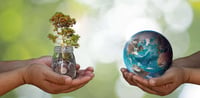 Sustainable procurement in government | Insights | Clarasys