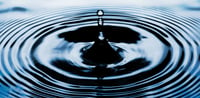 The sustainability ripple effect