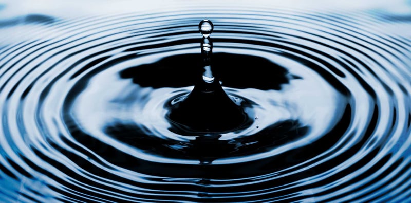 Image for The sustainability ripple effect