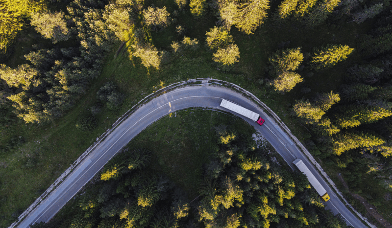 Image for Trucking on the Road at Sunrise in Pine Green Forest stock photo featured image for Navigating the ESG regulatory landscape for business growth blog with TIP trailers guest