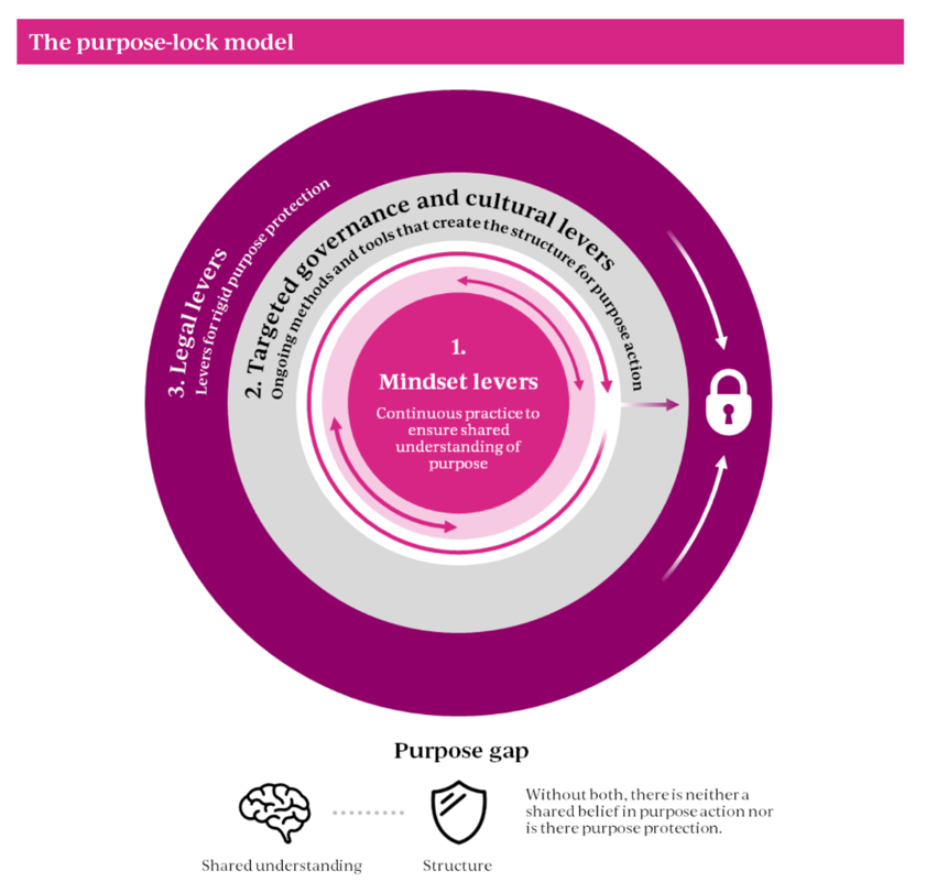 The purpose-lock model showing a framework outlining the levers used to drive and protect purpose, purple grey and pink circle showcasing mindest levers, targeted governance and cultural levers and legal levers
